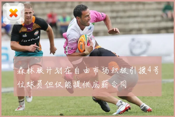 森林狼计划在自由市场积极引援4号位球员但仅能提供底薪合同