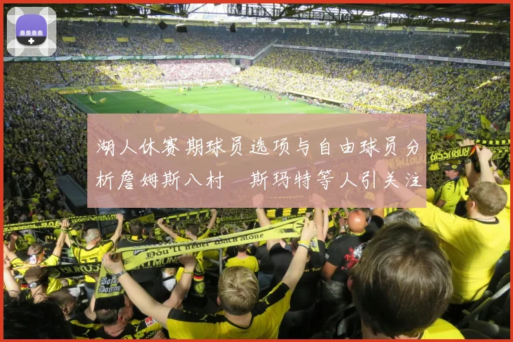 湖人休赛期球员选项与自由球员分析詹姆斯八村塁斯玛特等人引关注